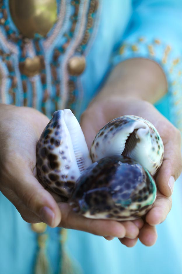 CHI_The_Spa_Cowrie_Shells